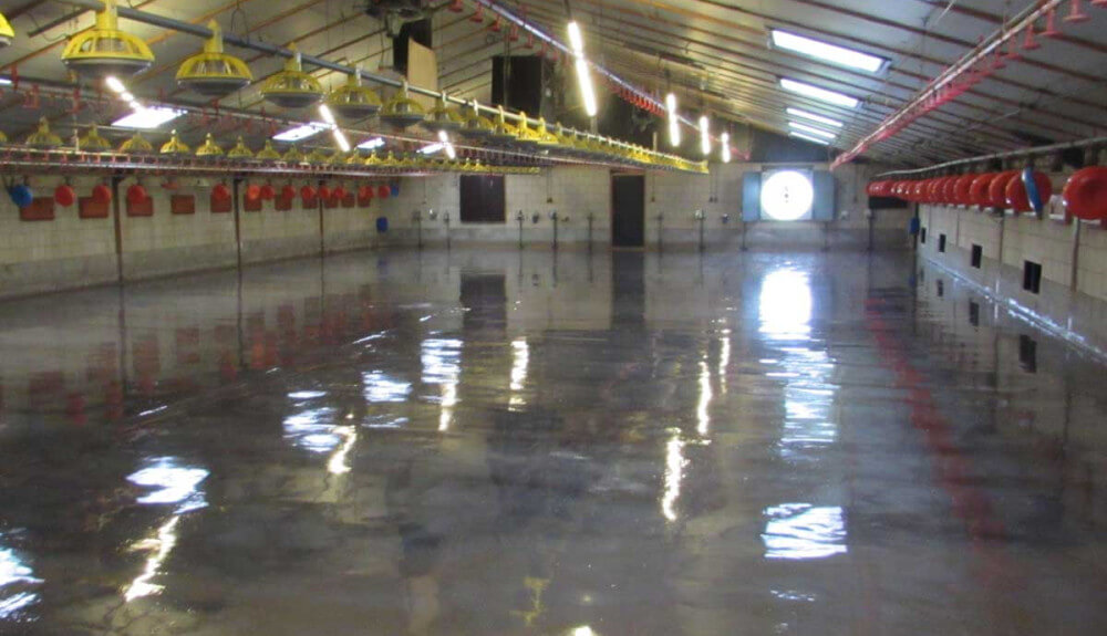 pluimveehouderij-vloerrenovatie2.jpg